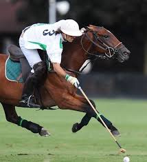 Equine Omega Complete Sport Horse Polo Horse Polo Pony
