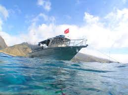 Extended Horizons Lahaina Maui Hawaii Lahaina Maui Trip Advisor