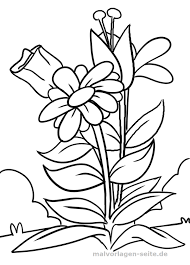 Diese erstaunliche bildersammlung über malvorlagen blumen ranken kostenlos steht zum download bereit. Malvorlage Blume Pflanzen Malvorlagen Malvorlagen Blumen Kostenlose Malvorlagen