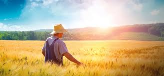 Cursuri gratuite fonduri europene 2017. Cursuri De Formare ProfesionalÄƒ Gratuite Pentru Fermieri Cepu