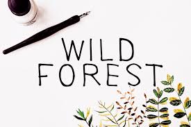 Along with fonts in xml, support library 26 introdu. Wild Forest Calligraphy Font Download Modern Digital Typeface By Font Studio Thehungryjpeg Com