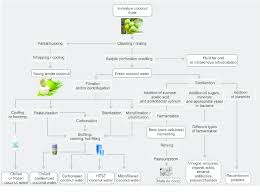 Flow Diagram Of The Different Methods Of Processing Young