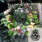 Winter Bird feeder Wreath Workshop — Cornish... event in Falmouth