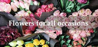 Check spelling or type a new query. Home Flowercraft Newcastle Upon Tyne