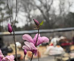 Beautiful end to the day!