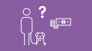 Wann lohnt es sich, bafög komplett auf einen schlag zurück zu zahlen? Hundesteuer Steuer Fur Hunde Helvetia Versicherungen