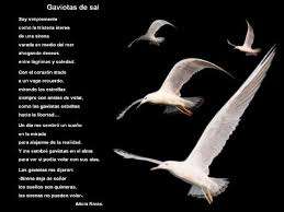 Ser Juan Salvador Gaviota Buscar Con Google Juan Salvador Gaviota Gaviota Sirenas