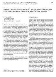 Image result for Trifolium semipilosum