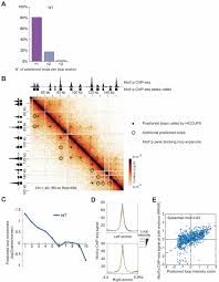 Download uc browser for windows now from softonic: Cohesin Residency Determines Chromatin Loop Patterns Biorxiv