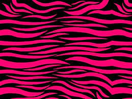 Cool Zebra Print Wallpaper Zebra Print Wallpaper Pink Zebra Wallpaper Zebra Print