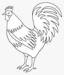 Check spelling or type a new query. Chicken Clipart Tail Black And White Rooster Art Transparent Png 5303x6167 Free Download On Nicepng