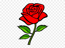 Draw a straight, vertical line through the center of the pale. Red Rose Drawing Simple Clipart 5182348 Pikpng