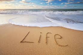 Life Photos - Download Free High-Quality Pictures | Magnific (formerly  Freepik)