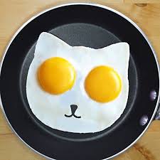 Robot Check Cat Egg Food Sunnyside Up Eggs
