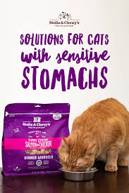Food For Cats With Sensitive Stomachs Sensitive Stomach Chewy Stomach