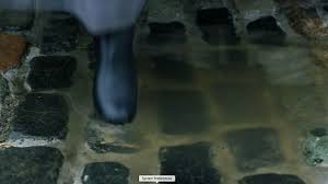 Loved The Puddle Transition Between Centuries Outlander Outlander Book Series Outlander Book
