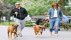 Jennifer Lopez Kopeklerini Spa Ya Limuzinle Gonderdi Boxer Jennifer Lopez Hayvan