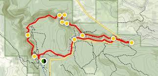 When we heard that there was a single hike that passes by ten falls, it went to the top of our list! Hikes Trail Of Ten Falls Henry E Hooper