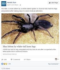 Facebook Will Penalise Misleading And False Headlines Newsfeed Org