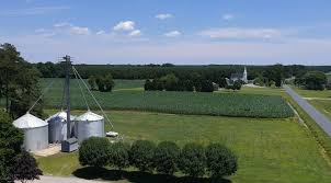 Our Town Revisited: Midway School