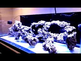 You can't set up a new. 205g Reef Build Aquascape Sand E16 Youtube
