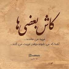 کاش بعضی ها غریبه می ماندند آشنا که می شوند چقدر غریبت می کنند لیلا مقربی Persian Quotes Best Friend Quotes Friends Quotes