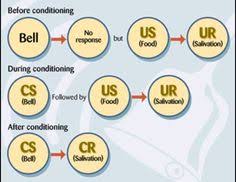 24 Best Psychology Classical Conditioning Images