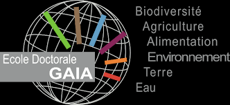 They estimated that yield loss due to the most important insect pests of rice, the stem borers, is about 2.3% due to damage at the reproductive stage causing. Https Hal Inrae Fr Tel 02784928 Document