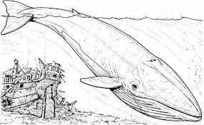 Whale Blue Whale And An Old Sinking Galeon Coloring Page Whale Coloring Pages Animal Coloring Pages Animal Coloring Books