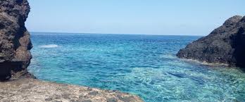 Dell'acqua di mare a ustica dovrebbe scendere a 23.1°c nei prossimi 10 giorni. Ustica E Le Promesse Al Mare Dei Volontari Di Legambiente Sono Gesti Semplici Che Servono A Tutelare La Biodiversita Meridionews