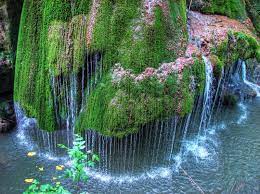 Cascada bigăr după circa 200 m, apa izvorului (bogată în calcar) se varsă în râul miniș de pe un prag stâncos, formând o cascadă de tuf calcaros, ce poartă numele de cascada bigăr. Pin Auf Places To Visit