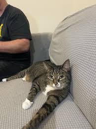 Have u seen this beautiful girl?😔🙏🏼💗