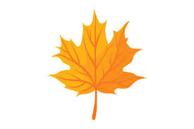 Download 21,148 fall leaves free vectors. Maple Leaf Svg Cut File By Creative Fabrica Crafts Creative Fabrica