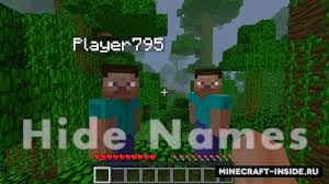 скачать мод на майнкрафт 1 12 2 на превращение в мобов Hide Names 1 12 2 1 11 2 1 10 2 Mody Dlya Majnkraft Minecraft Inside