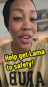 Help Get Lama to Safety