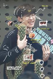 Anatomy Of Wonwoo Suami Masa Depan