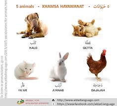 Everyday Arabic العربية لكل يوم Learning Arabic Teach Arabic Arabic Kids