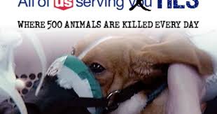 Us Bank Loan Lets Hls Kill More Animals Send Sample Letter Or Sign Automatic Letter Stop Animal Testing Animal Experiments Animal Testing Companies