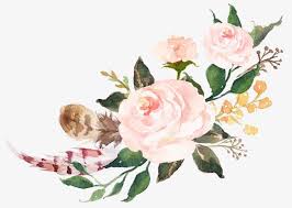 Pink Flowers Green Leaves Watercolor Flowers Sen Department Watercolor Flowers Pink Watercolor Flower Watercolor Rose