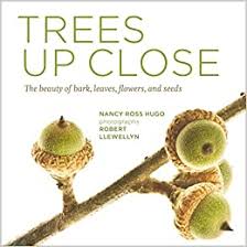 Choose from numbers in over 70 countries and 700 cities. Amazon Com Trees Up Close The Beauty Of Their Bark Leaves Flowers And Seeds Seeing Series 9781604695823 Hugo Nancy Ross Llewellyn Robert Books