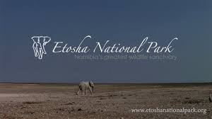 It was designated as wildschutzgebiet in 1958, and was elevated to the status of a national park in 1967 by an act of parliament of the republic of south africa. Videos Etosha National Park