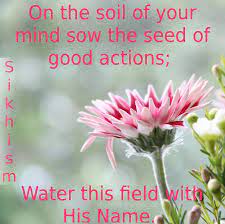 On The Soil Of Your Mind Sow The Seed Of Good Actions Water This Field With His Name Sikhism Source Http Sikhquot Words Of Wisdom God Is Good Words