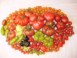 There are a few substitutes using ingredients you probably have in your pantry—but be advised that some are better than others. How To Grow The Best Tasting Tomatoes February 2020 Boom Magazine Capital City Master Gardener Association