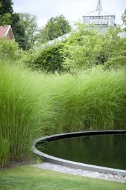 Bassin Rond Noir Et Miscanthus Sinensis Gracillimus En Arriere Plan Garden Architecture Water Features In The Garden Garden Design