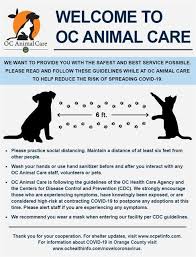 Contact orange county animal services on messenger. Orange County California Adopt