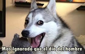 A continuación os dejo un repertorio de memes del día del padre recopilados directamente de google imágenes. Memes Por Celebracion Del Dia Del Hombre Alerta Tolima