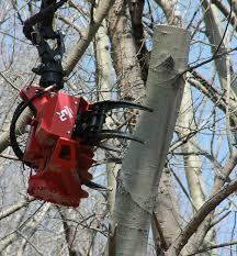 Best of the web is an online platform connecting businesses and consumers backed by our team of editors. Tree Removal Trimming Binghamton Ny All Pro Able Tree Service