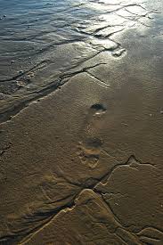 Check spelling or type a new query. Arena Playa Verano Elba Reflexion Naturaleza Mar Rio Playa De Arena Huella Pxfuel