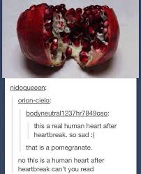 That Is A Pomegranate Bones Funny Tumblr Funny Funny Me