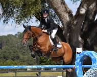 Ocala Fall Classic